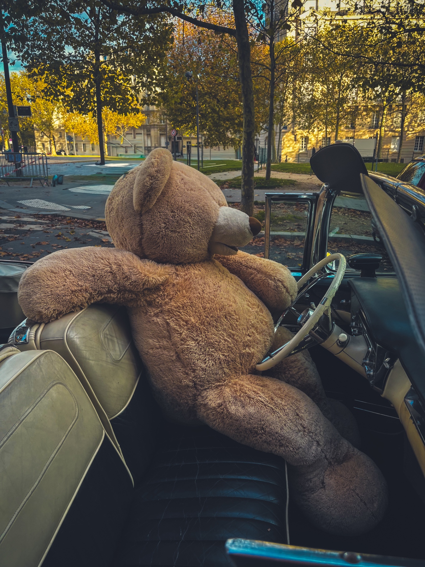 Urso de pelúcia gigante sentado ao volante de um conversível clássico em rua de Paris no outono